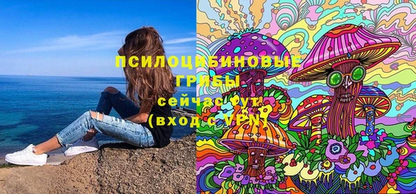 соль ск Алексеевка